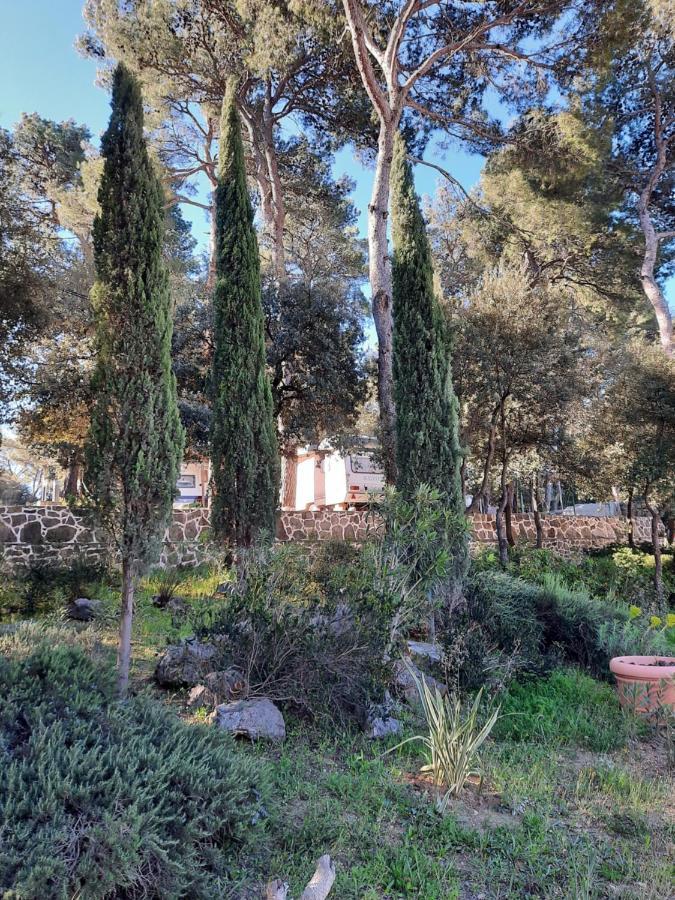 Apartamento Perla Biograd Na Moru Exterior foto